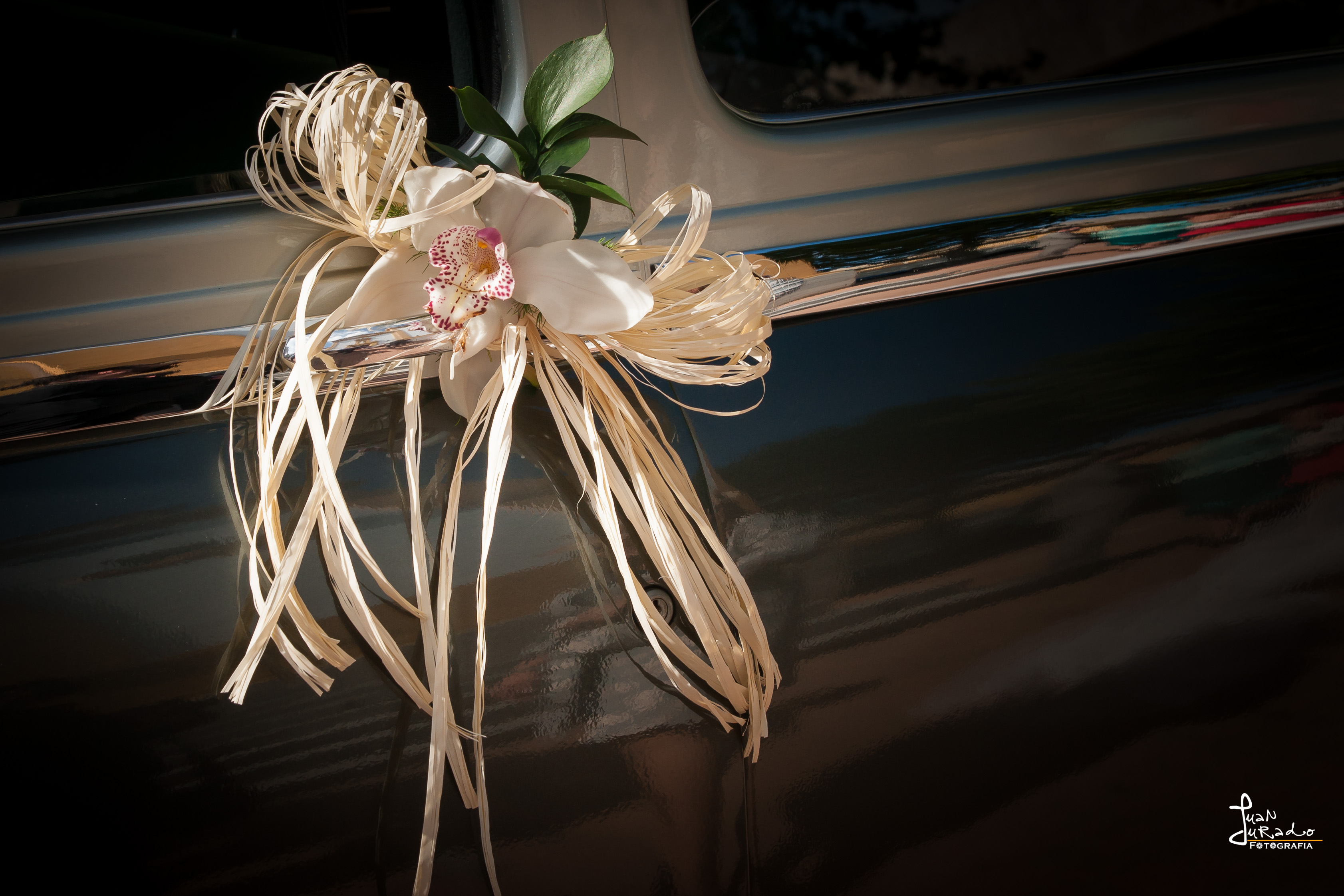 Boda 5