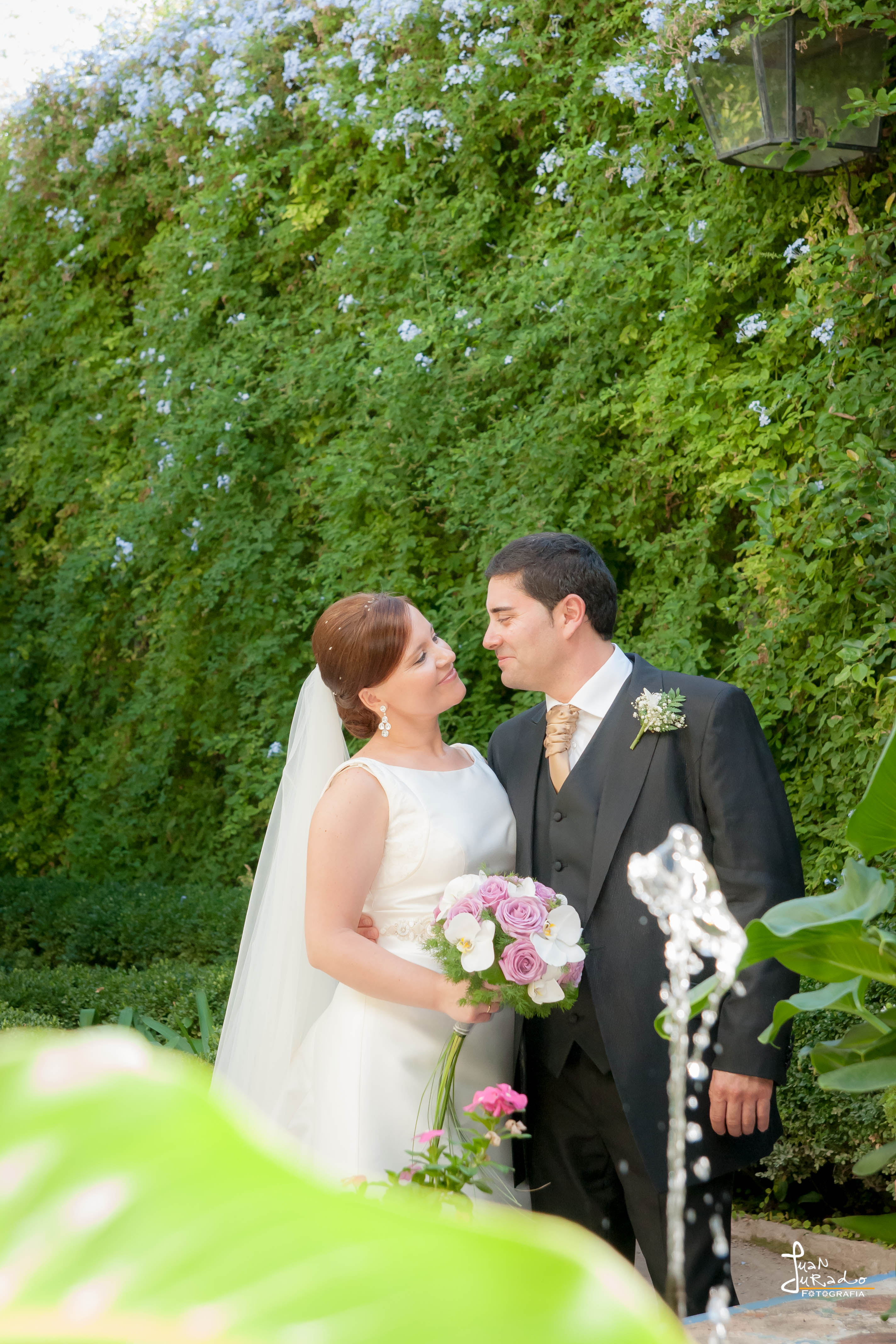 Boda 6