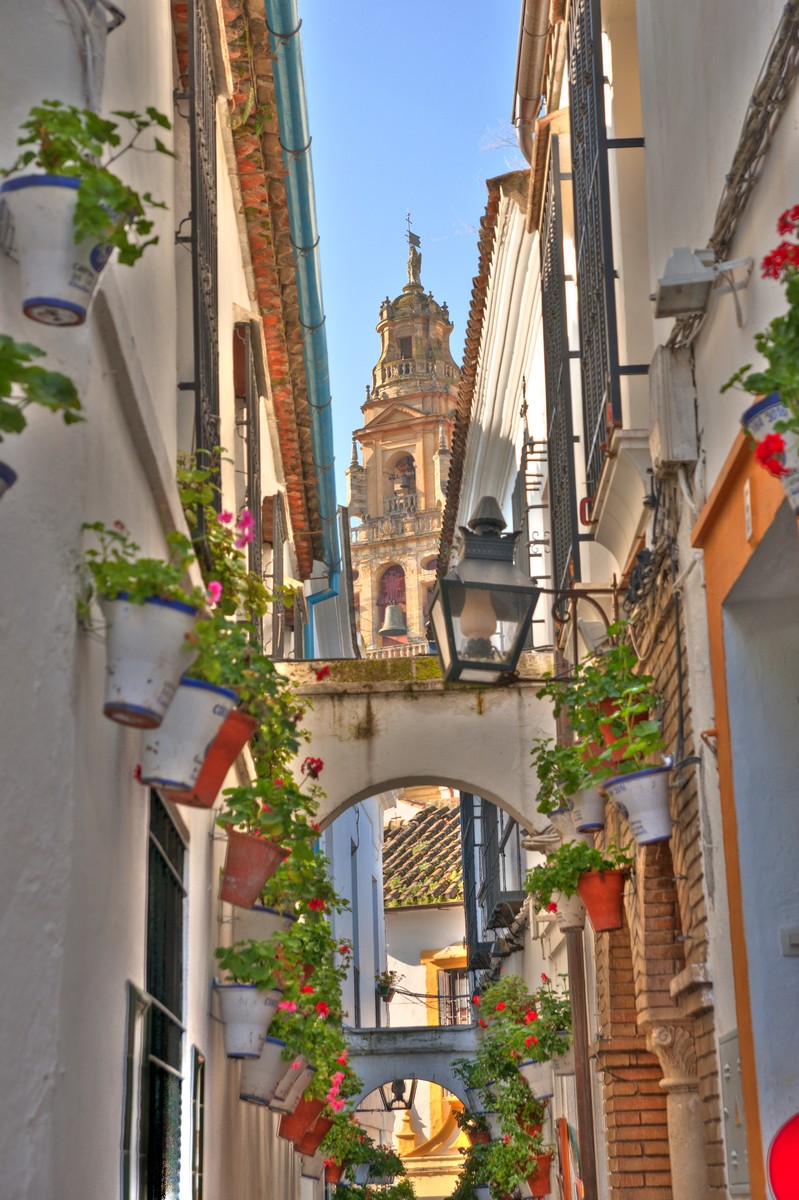 Mezquita 10