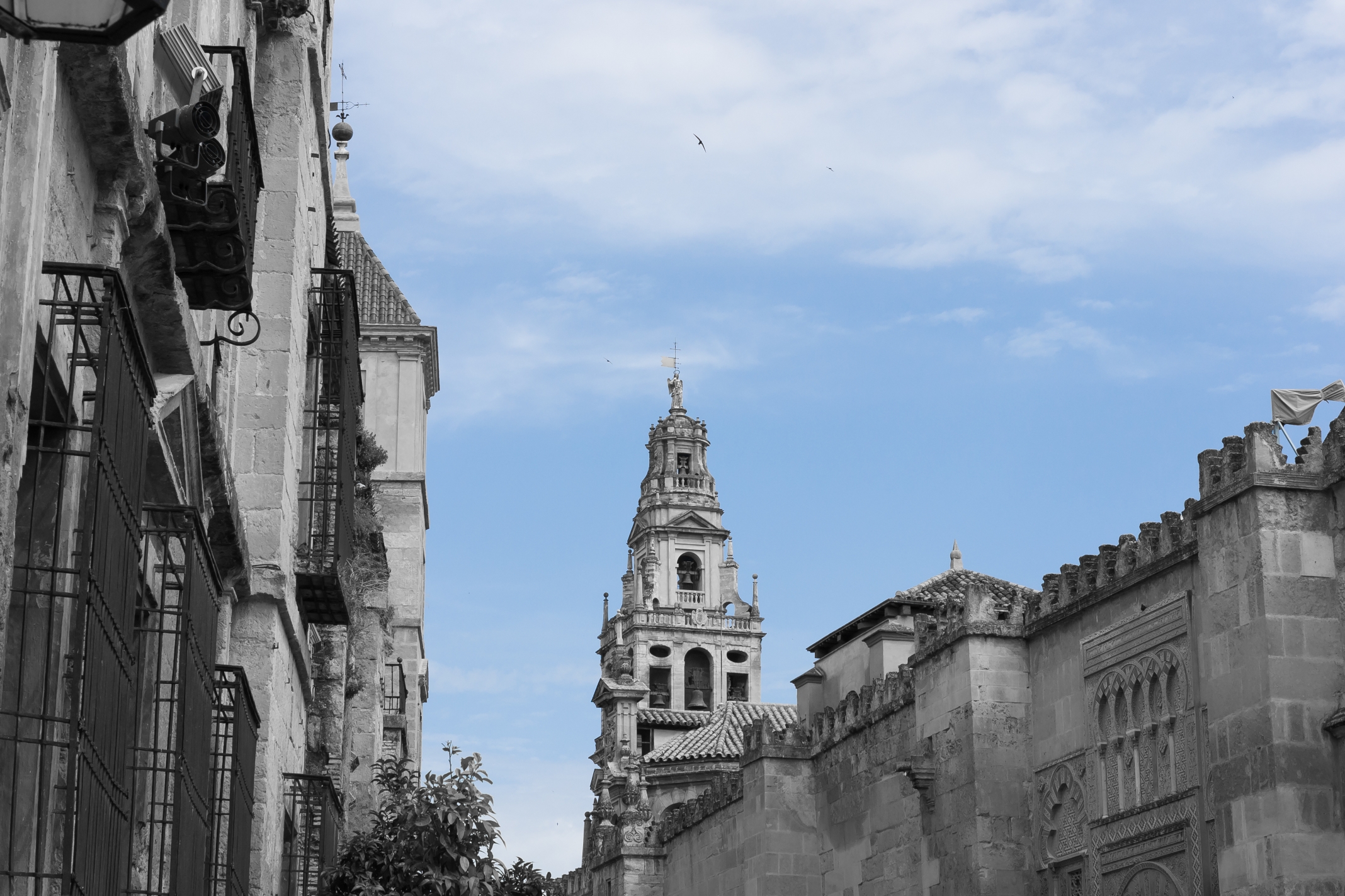 Mezquita 7