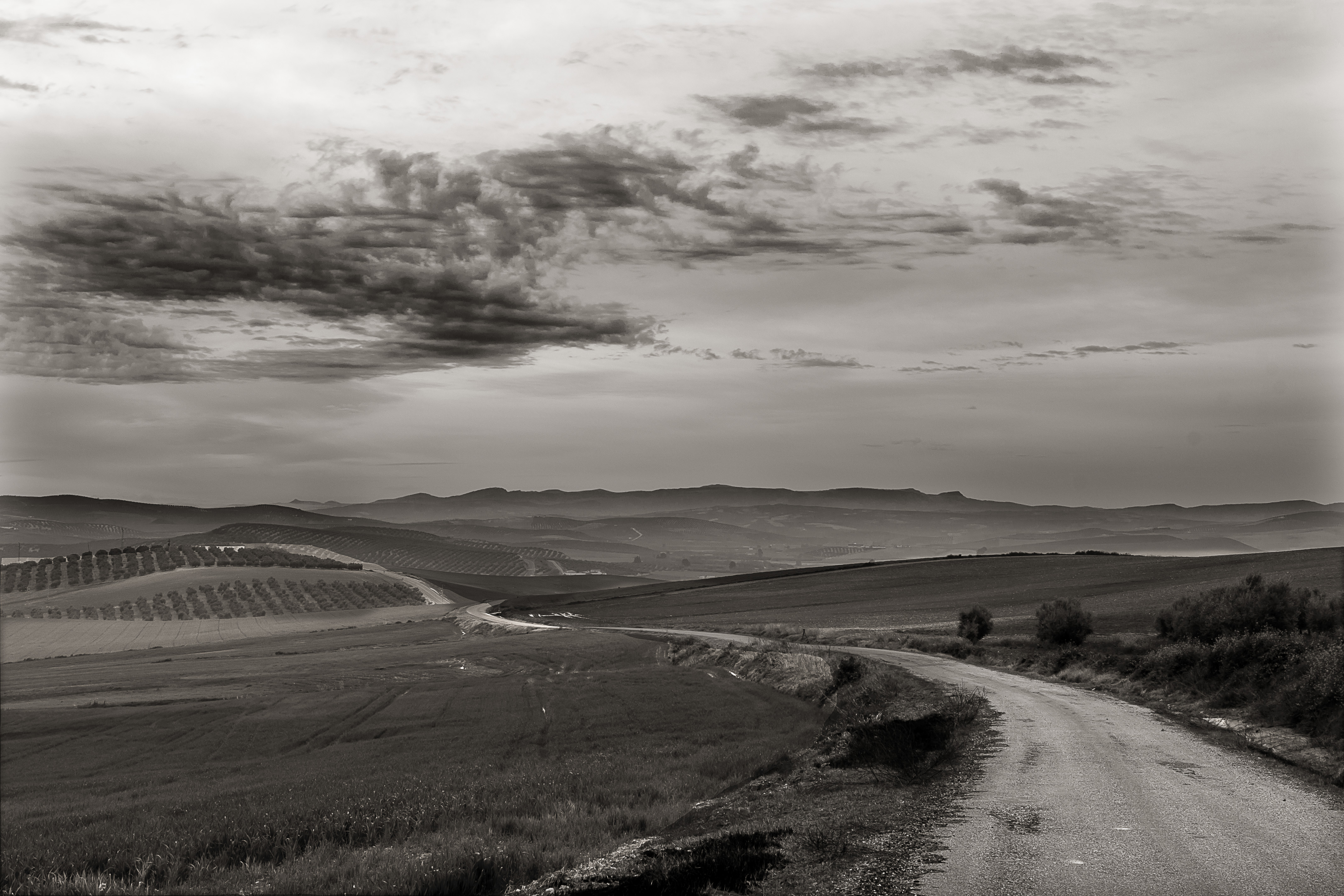 Paisaje 1